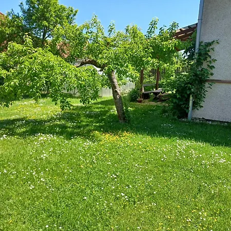Apartman Radenice Exterior photo